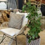 Fauteuil en Rotin et Métal | AURORE – Image 3